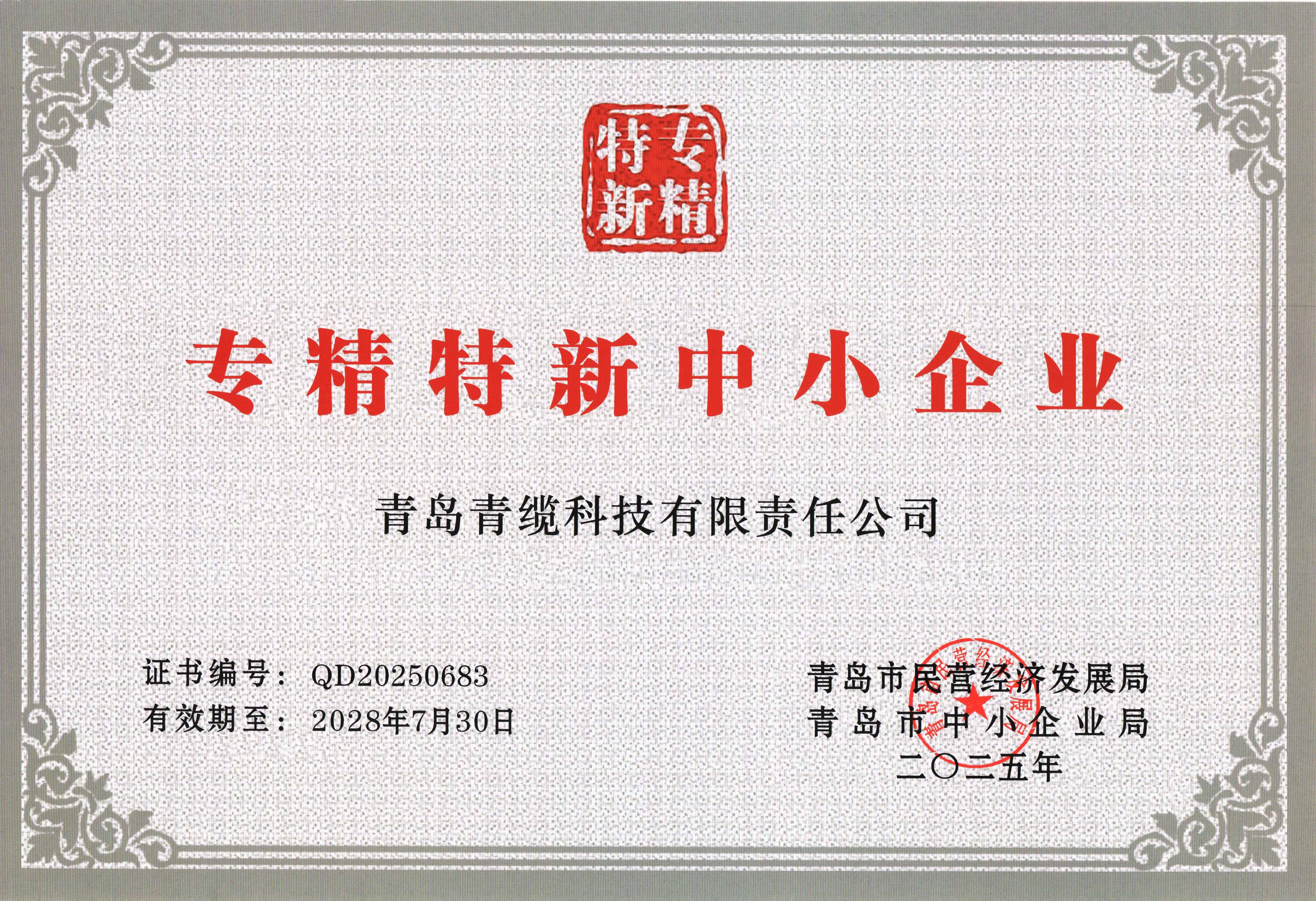 德赢VWIN获评“创新型中小企业”并顺利通过“专精特新中小企业”复评