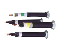 ѹ450/750V¿Ƶ